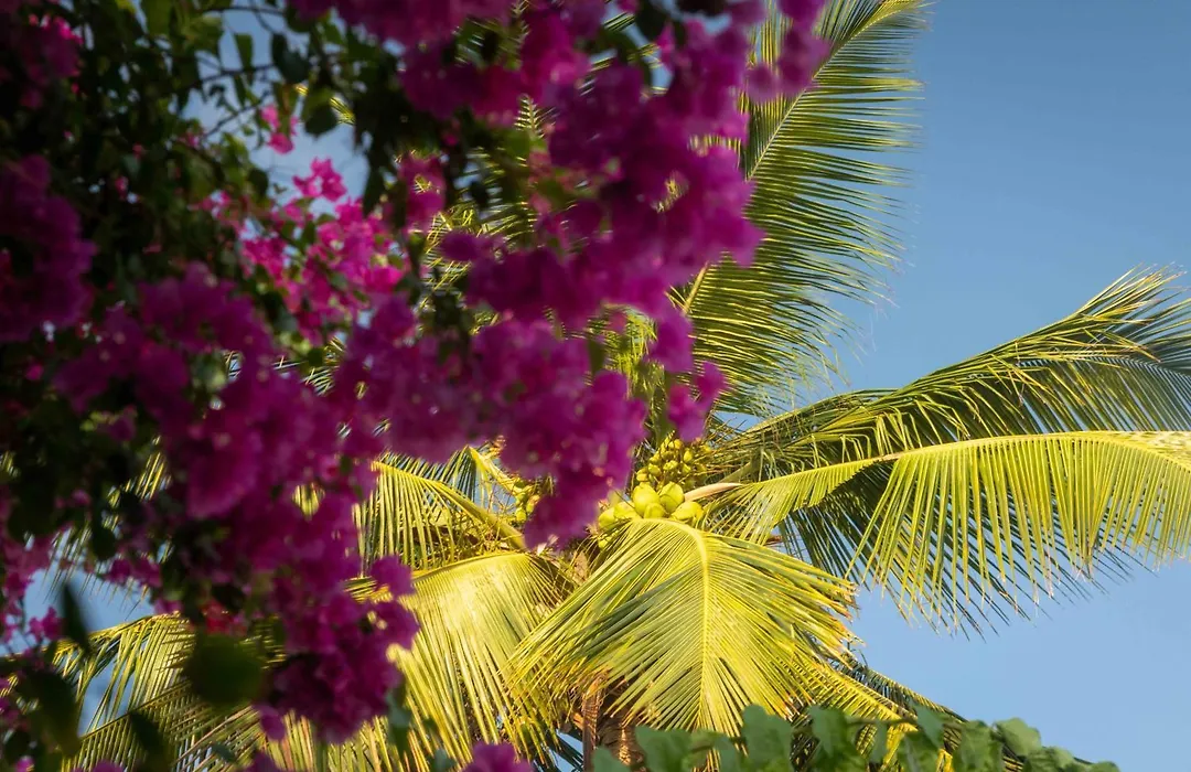 Sharazad Boutique Hotel-1