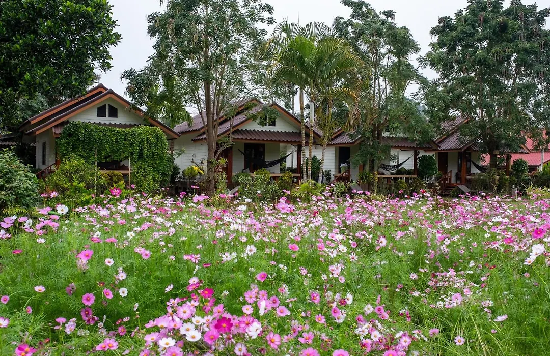The Nest House-1