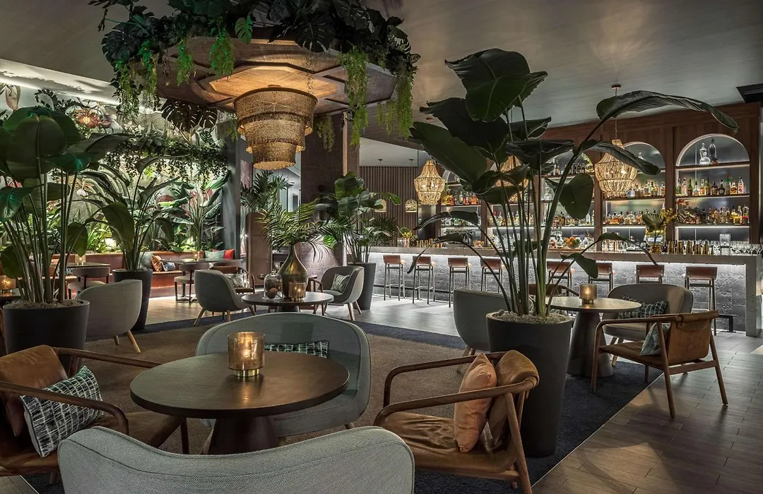 Thesis Hotel Miami Coral Gables, Curio Collection By Hilton-1