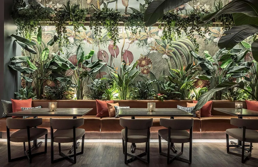 Thesis Hotel Miami Coral Gables, Curio Collection By Hilton-1