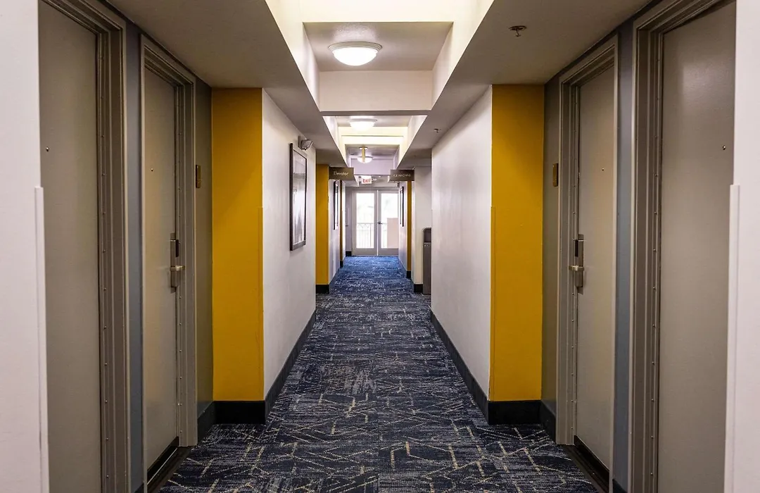 Comfort Inn & Suites Near Universal - N Hollywood - Burbank-1