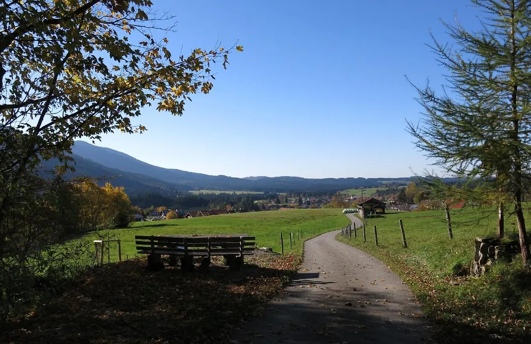 Apparthotel - Pension Ammertaler Hof-1
