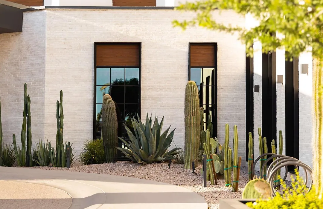 Senna House Hotel Scottsdale, Curio Collection By Hilton-1