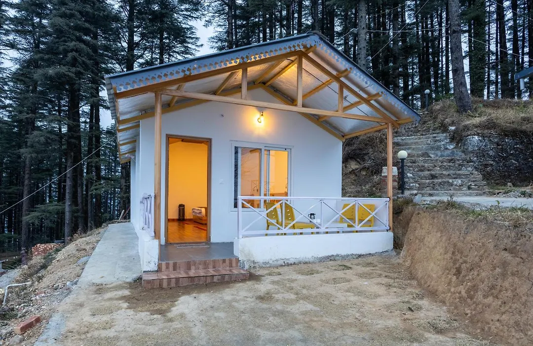 The Deodar Stays-1