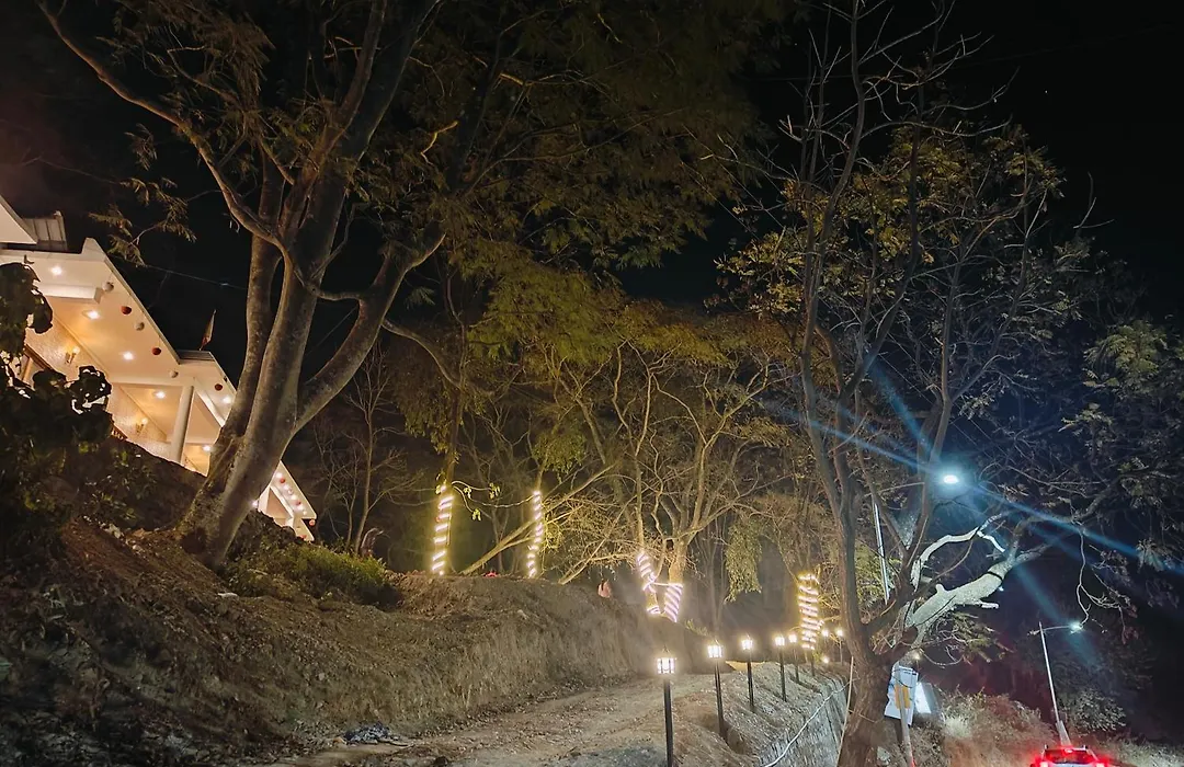 The Forest Trail By Lake & Woods-1