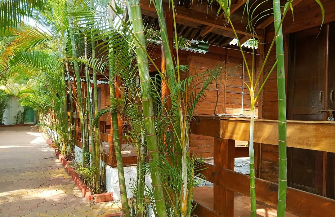 Bulbul Nest-1