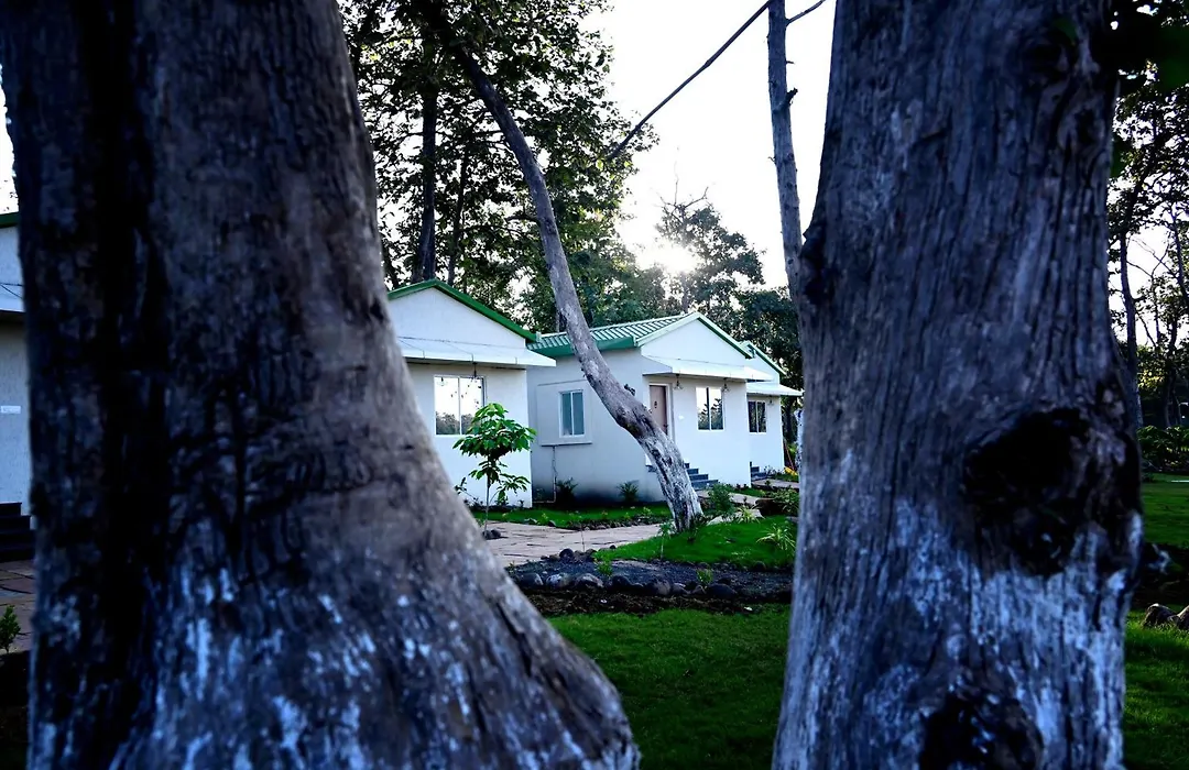 The Golden Woods Resort-1