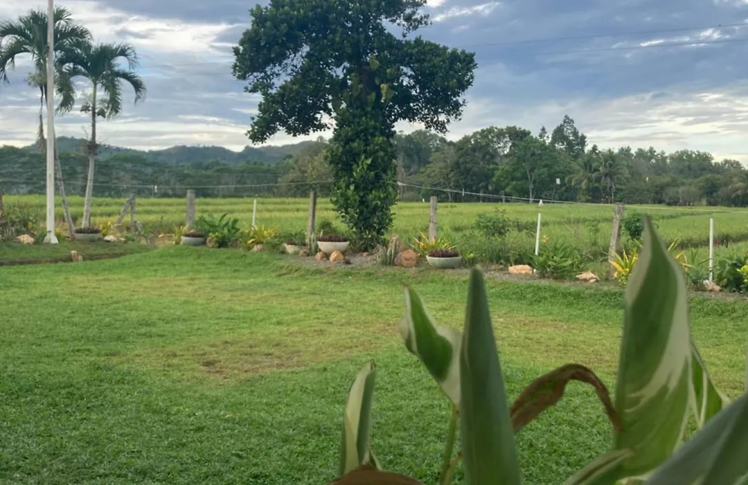 The Eliana Farm Resort And Villas-1