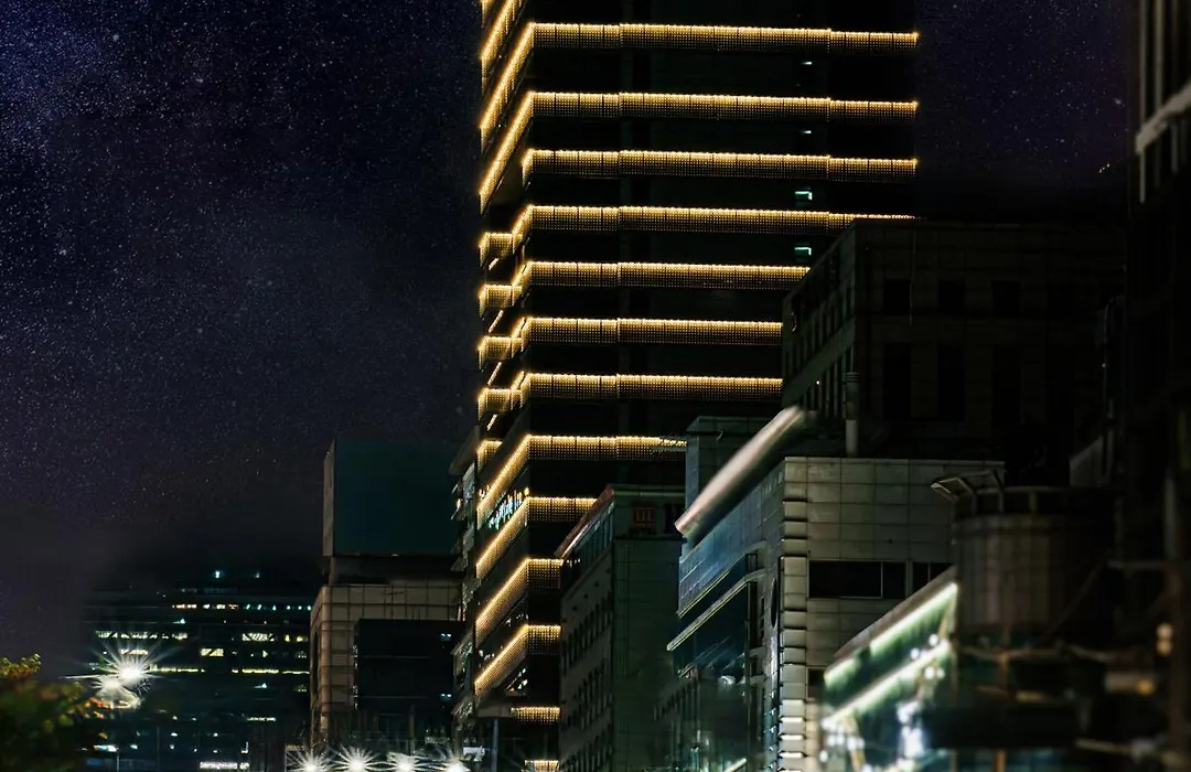 Eliena Hotel Seoul Gangnam-1