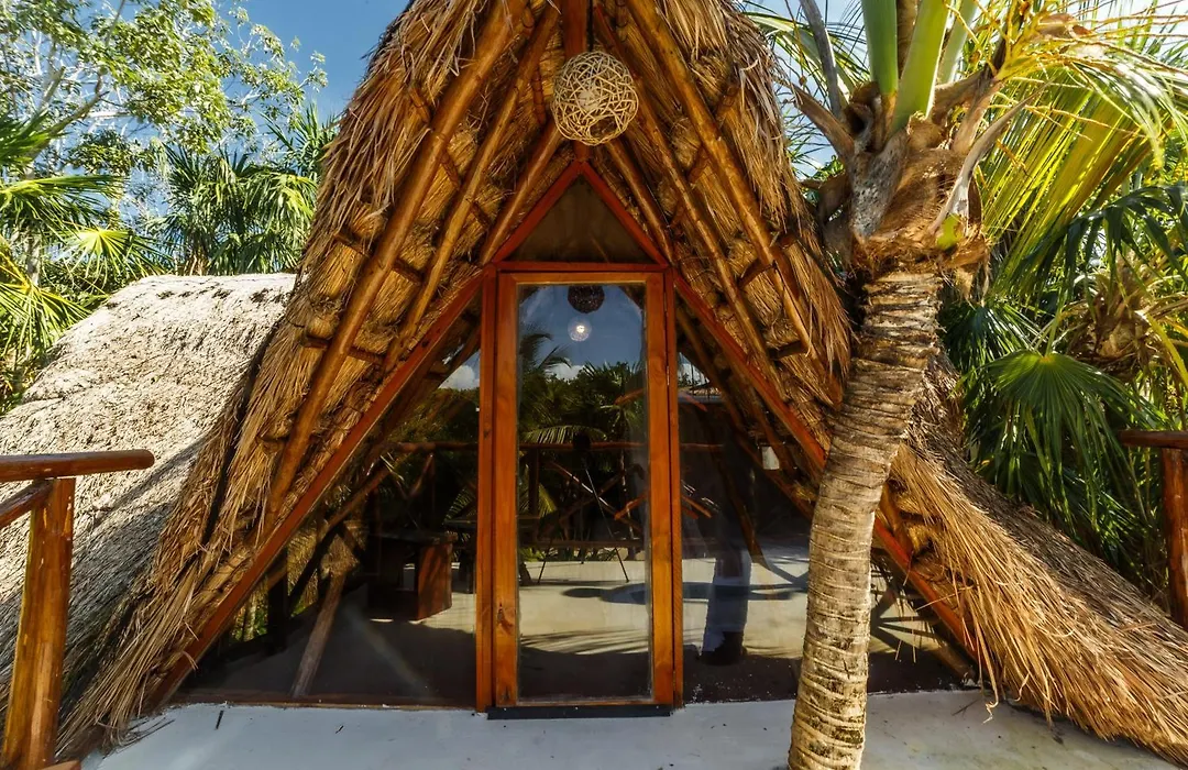 Eco Banitas Tulum-1