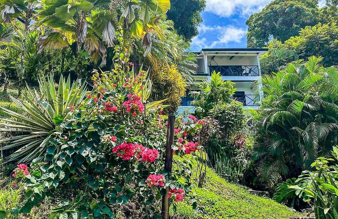 Villa Roca Boutique Resort & Suites - Adult Only-1