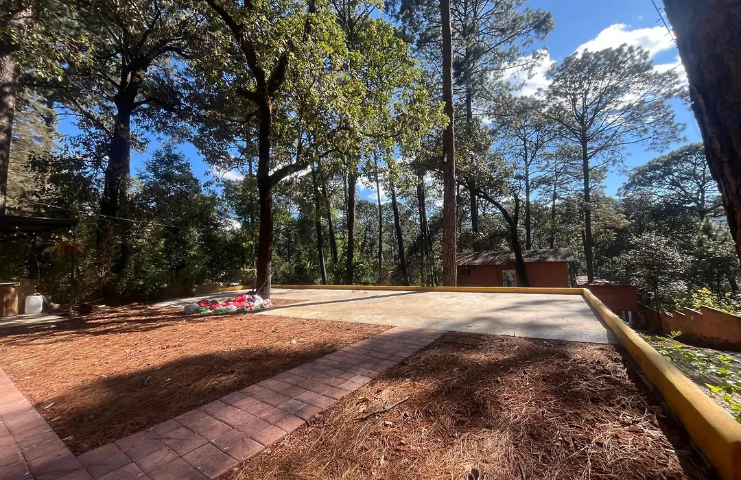 Bosque De Avandaro-1
