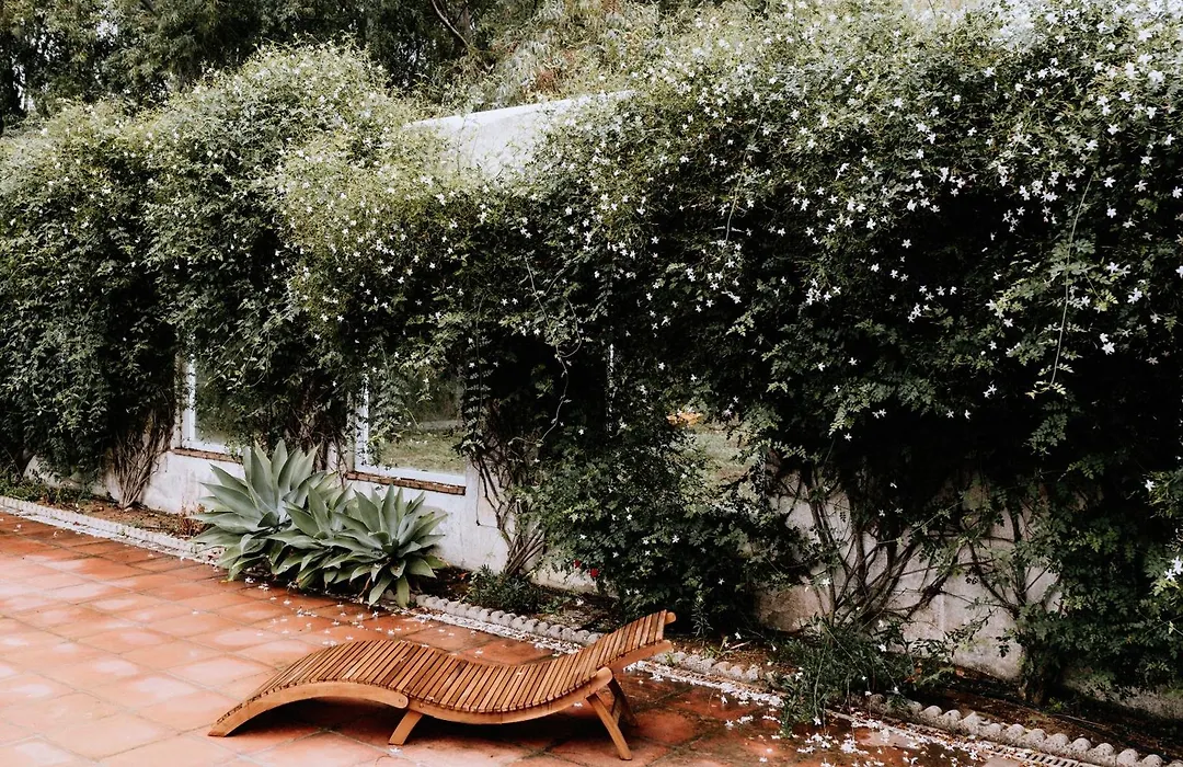 Finca Laida-1