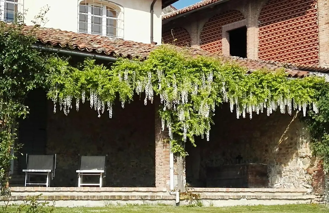 Casa Rovelli-1