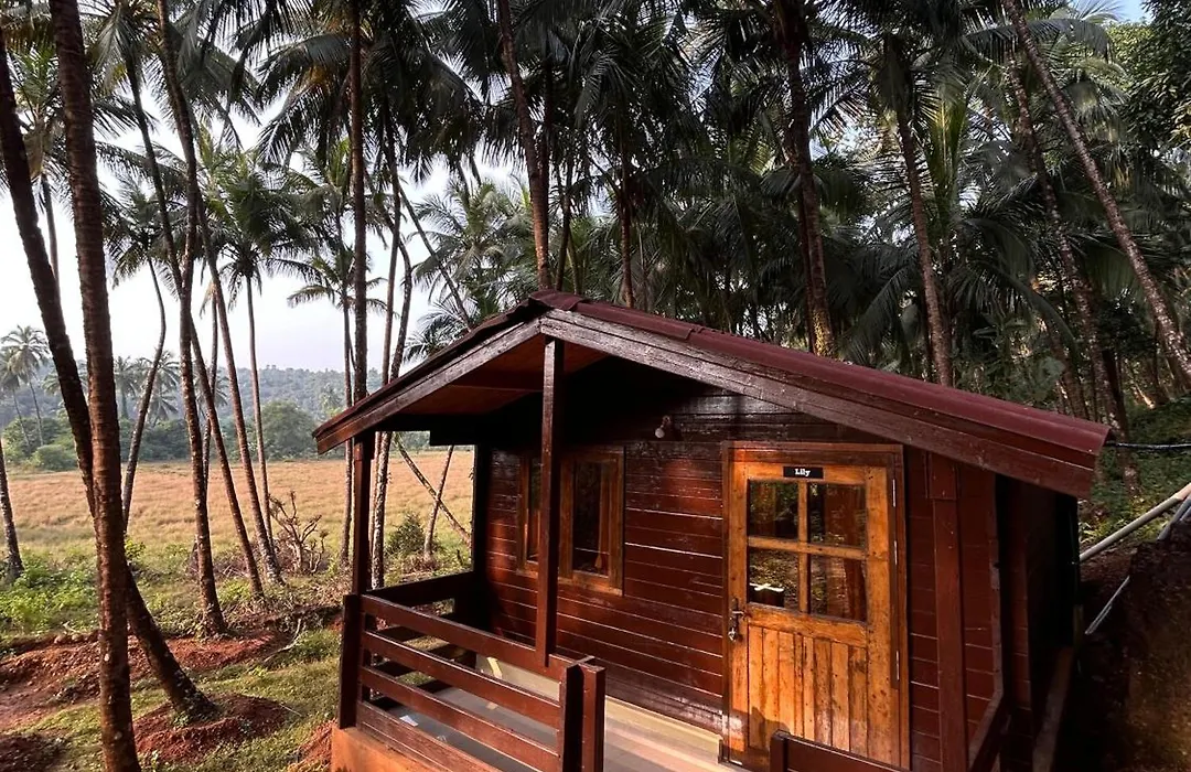 Mountain Breeze Wooden Cottages-1