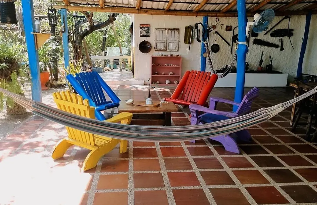 El refugio del tiburón-1