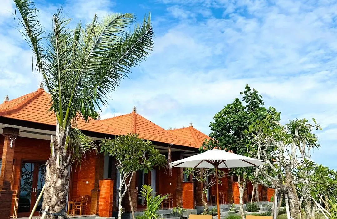 South Hill Pandawa-1