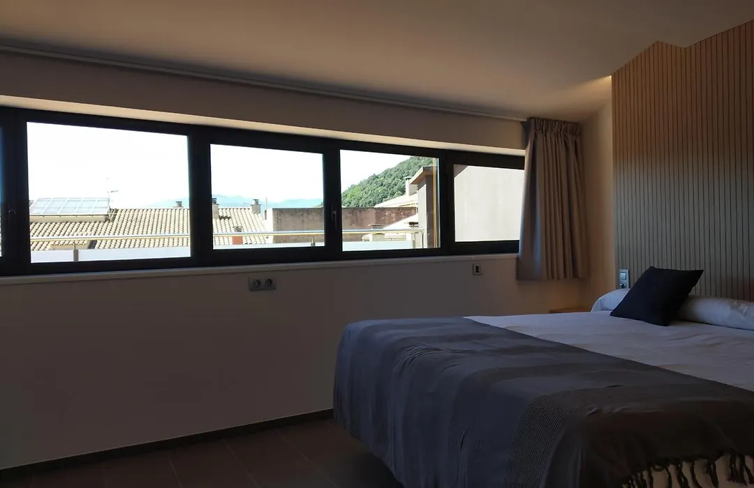 Hotel Olot Centre-1