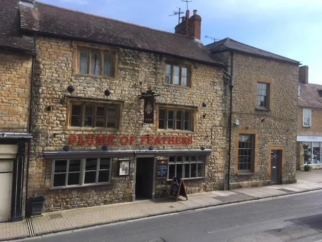 The Plume Of Feathers-1
