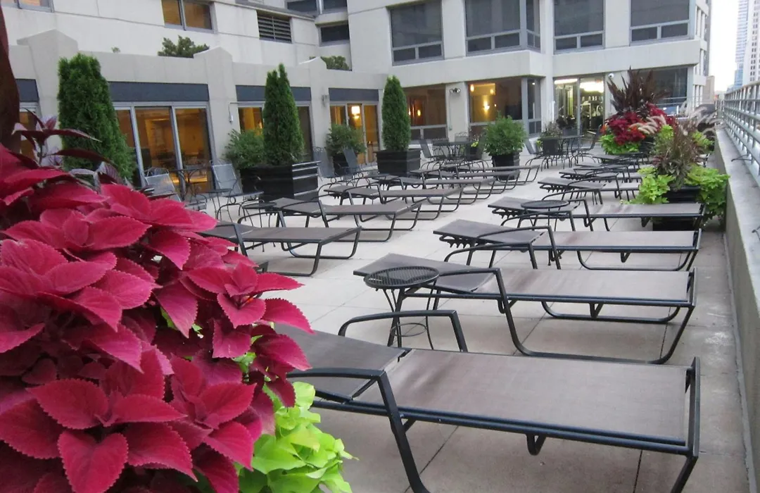 Courtyard By Marriott Chicago Downtown/River North-1