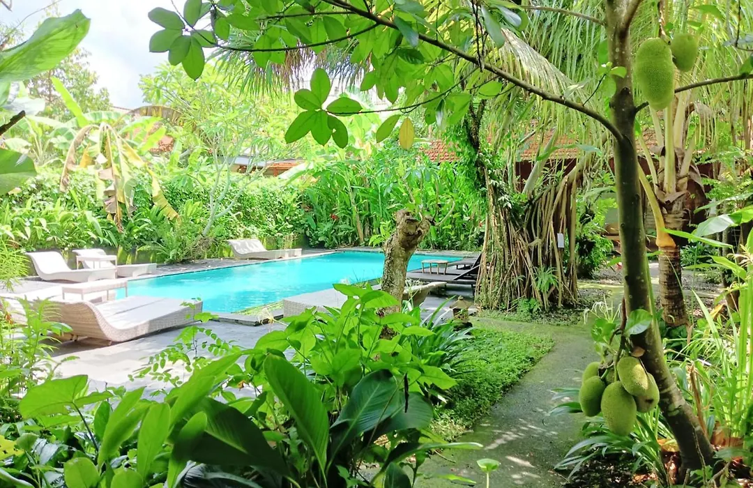 Ubad Stay, Ubud-1