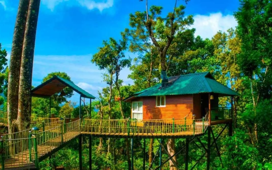 Raarees Mist Resort Munnar-1