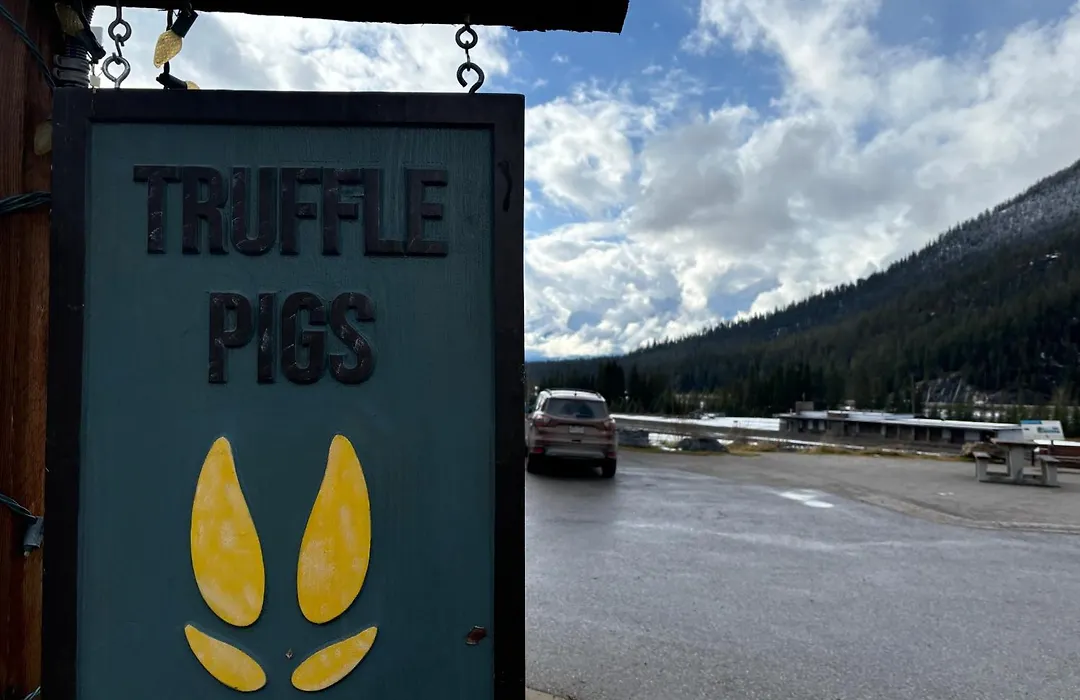 Truffle Pigs Lodge-1