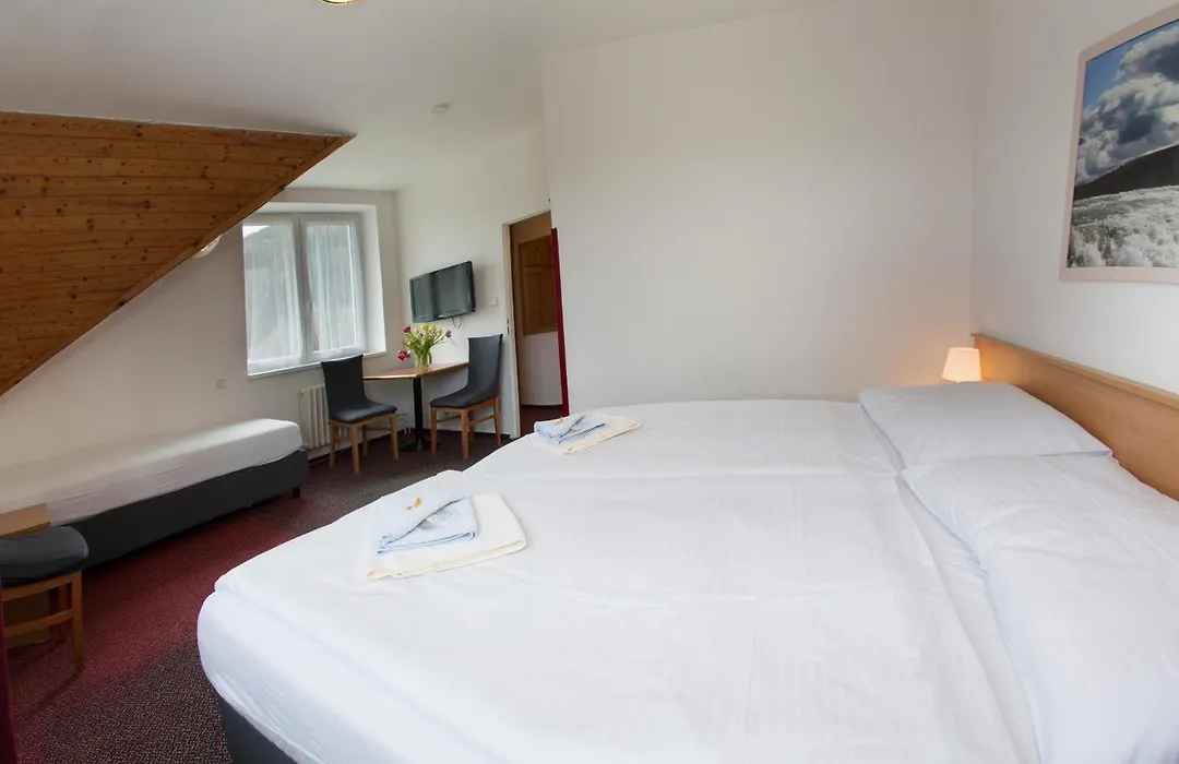 Hotel Harrachov Inn-1