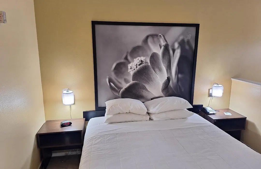 Super 8 By Wyndham Weslaco-1