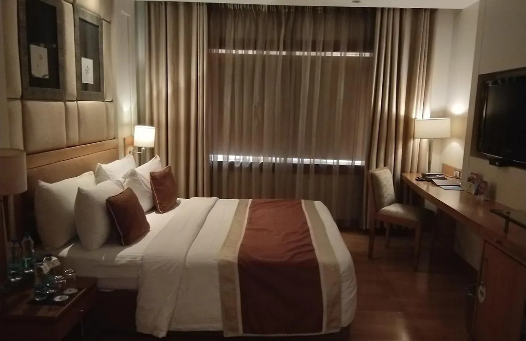 Hotel Royal Infinity Near Delhi Airport-1