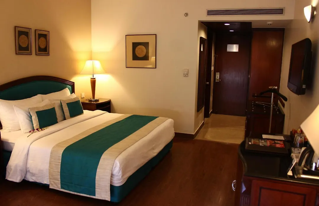 Hotel Royal Infinity Near Delhi Airport-1