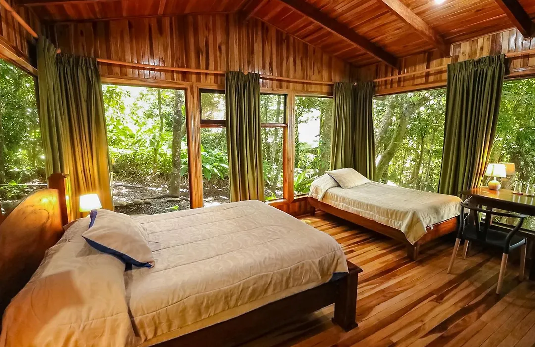 Hotel Flor De Bromelia-1