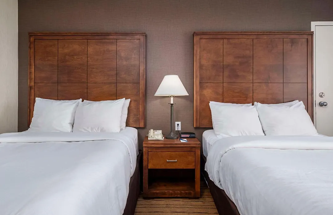 Comfort Inn - Gander-1