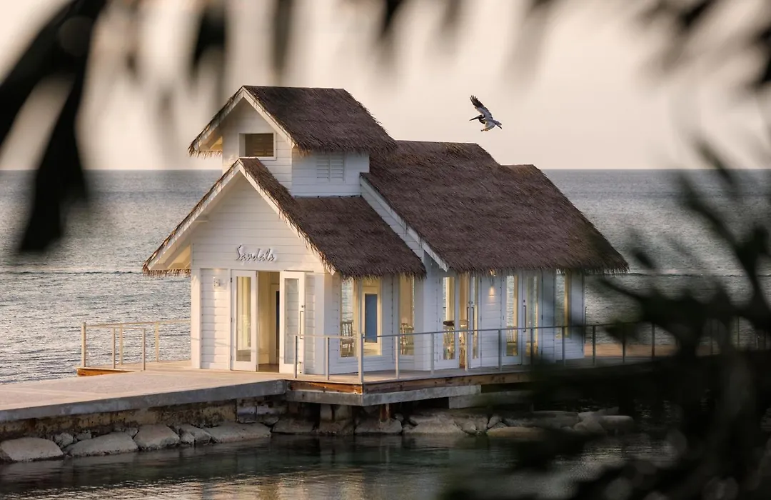 Sandals Montego Bay All Inclusive - Couples Only (Adults Only)-1