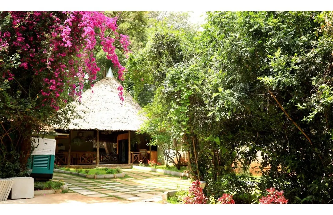 The Giraffe Cottages-1