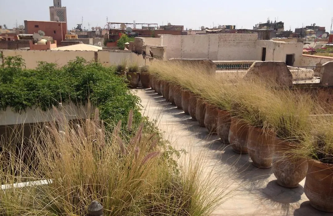 Riad Maiya-1