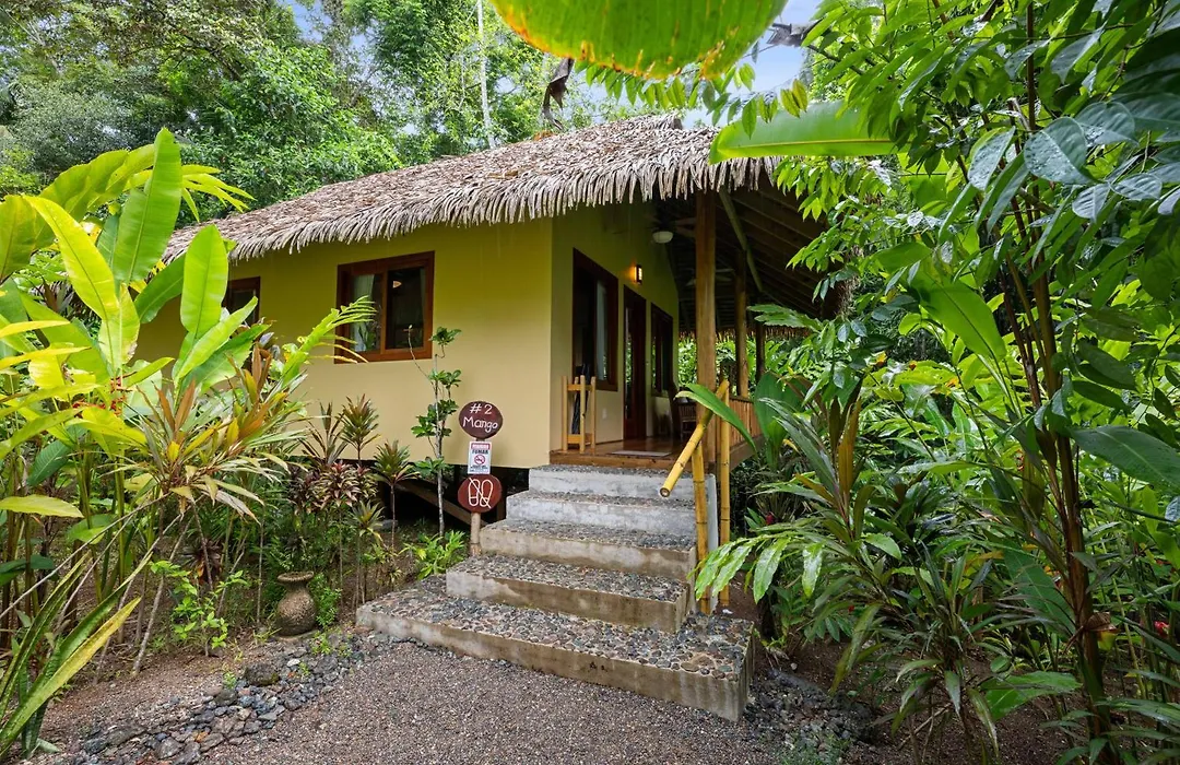 Copa De Arbol Beach & Rainforest Resort-1