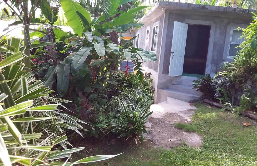 Port Antonio Brian'S Beach House-1