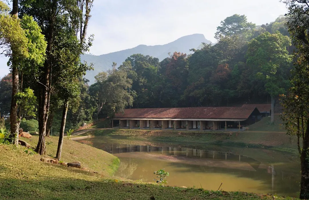 Jungle Park Resort-Rain Forest Experience By Greenescapes-1