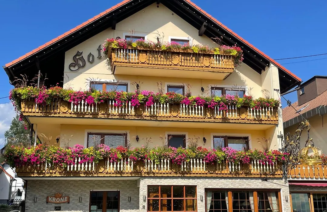 Hotel Krone Igelsberg-1