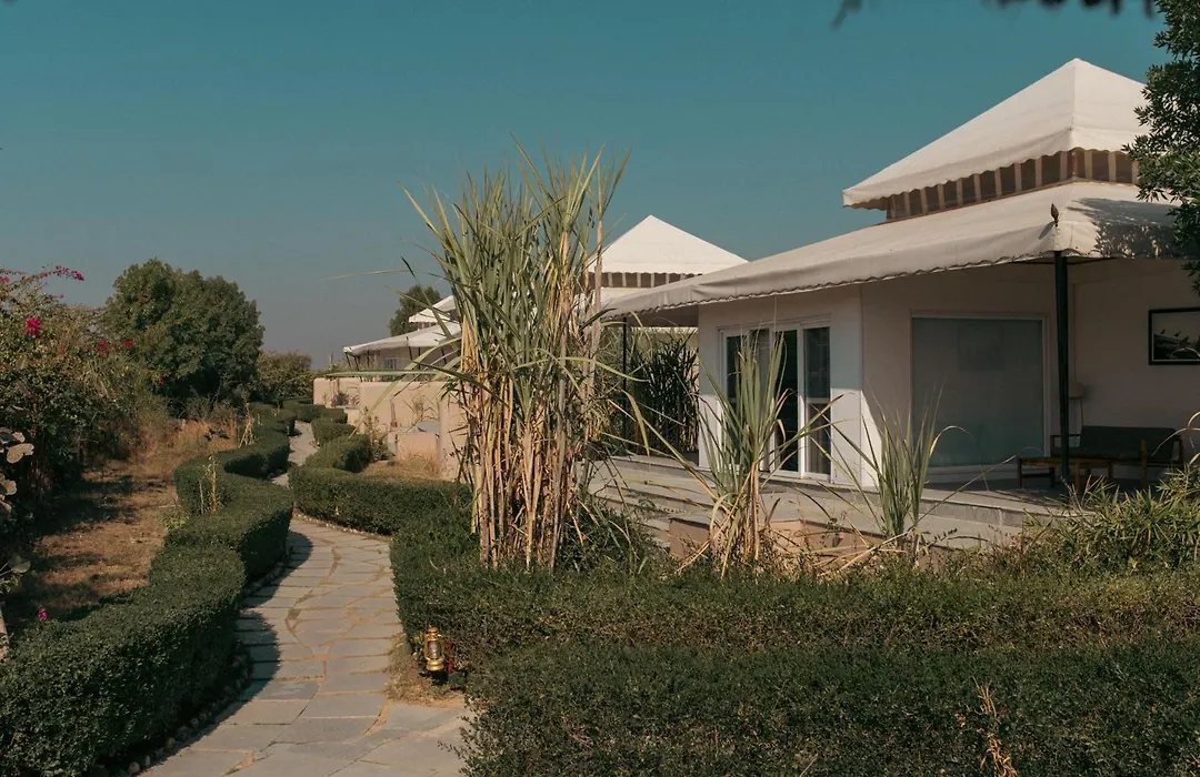 Brij Pola, Jawai - Luxury Jungle Camp With Private Pools-1