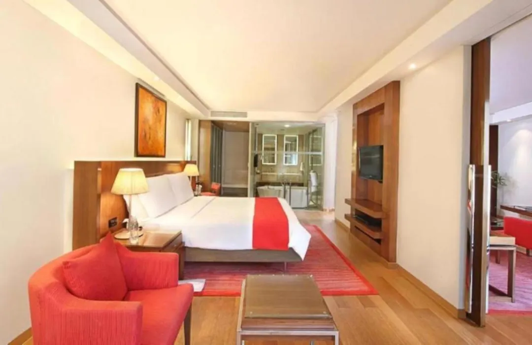 Hotel Luxury Villa Near Delhi Airport-1