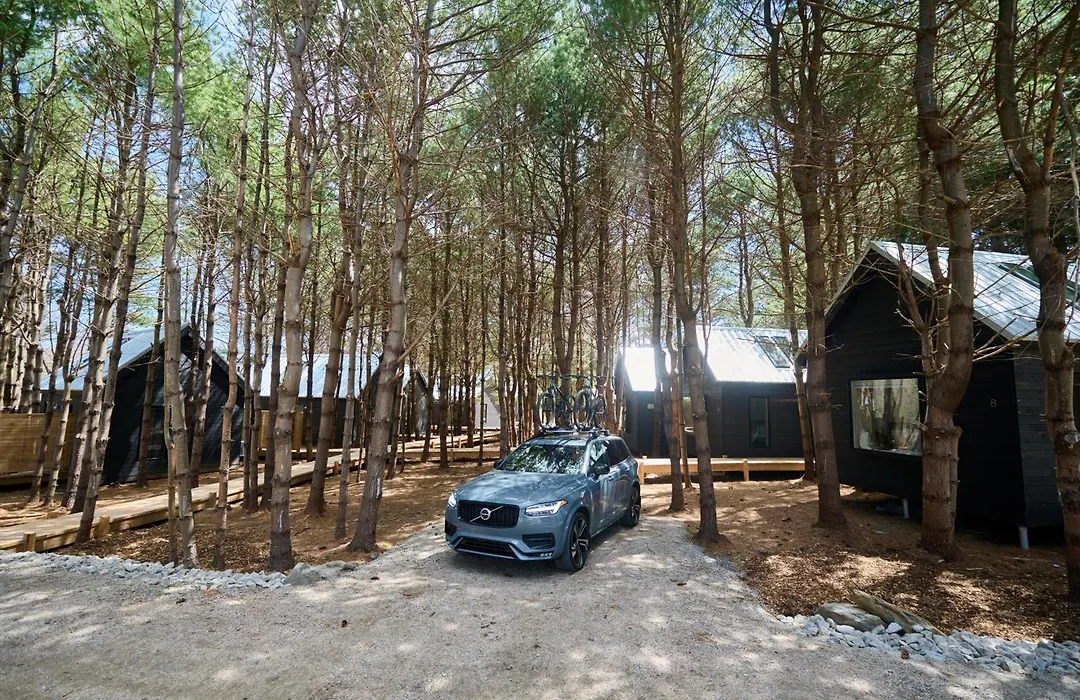 Black Forest Cabins-1
