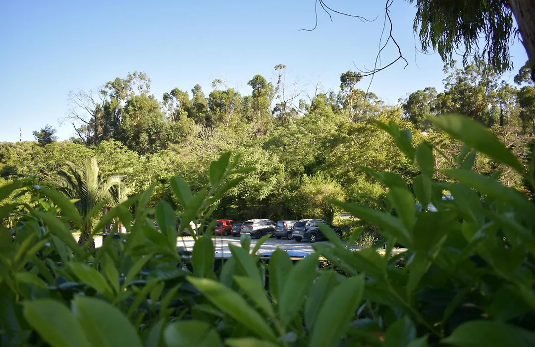 Oasi Camping Diano Marina-1