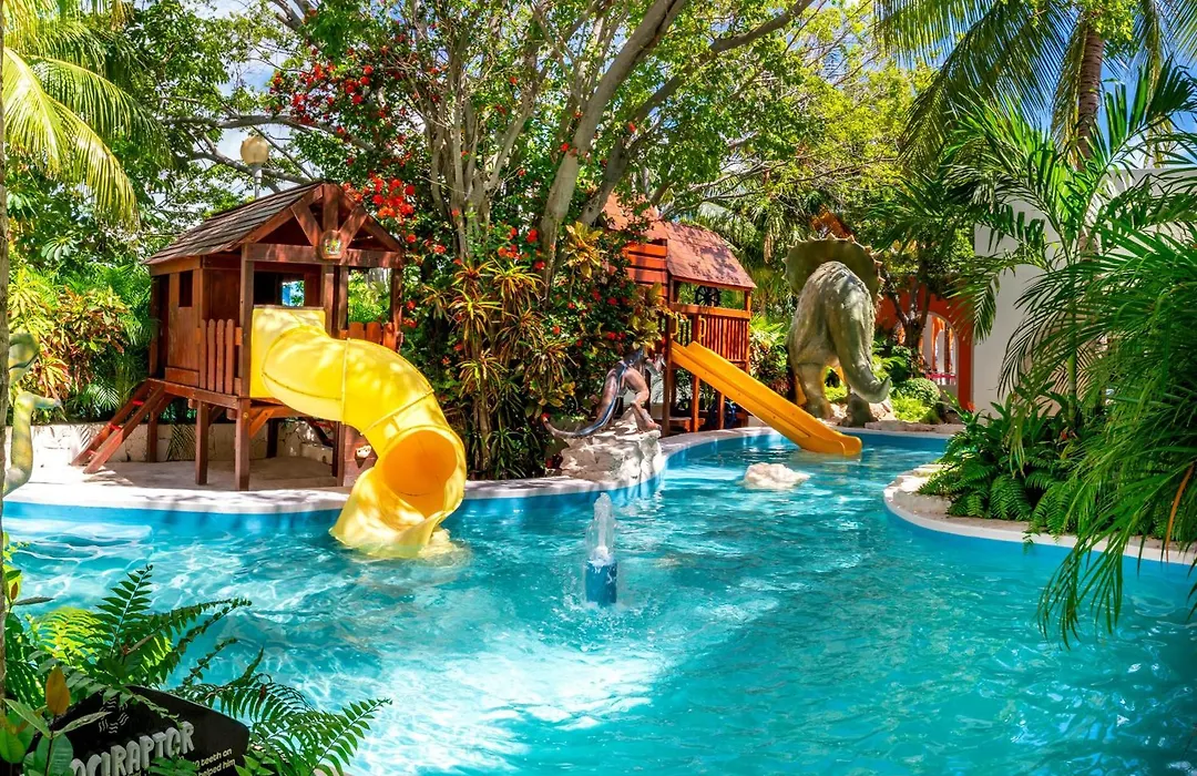 Oasis Palm-1