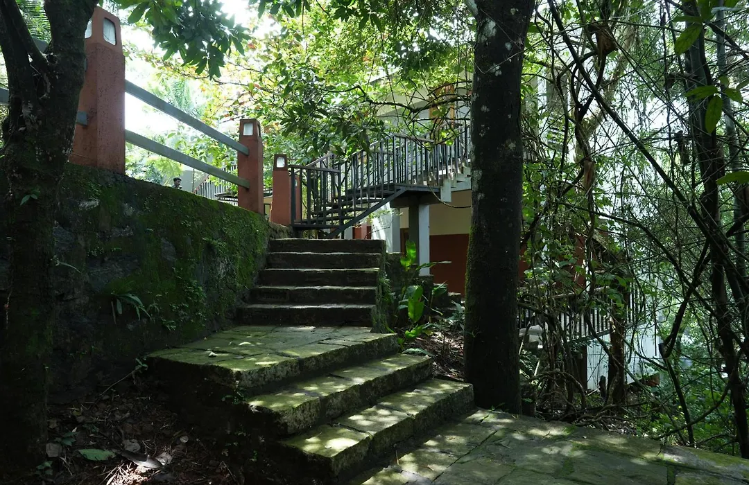Wayanad Silverwoods Forest Resort & Spa-1
