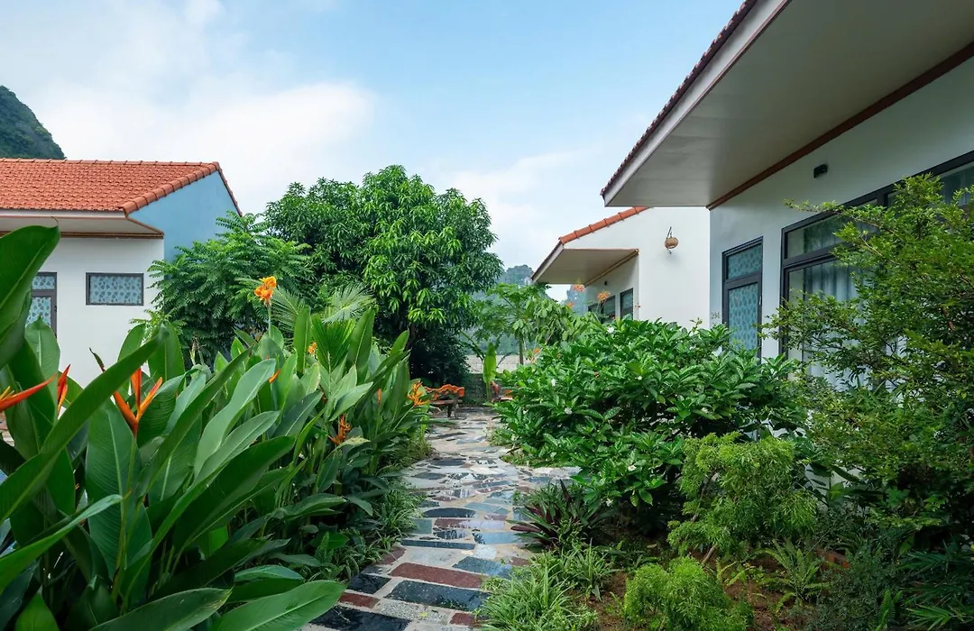 Hang Mua Holiday Homestay - Trang An-1