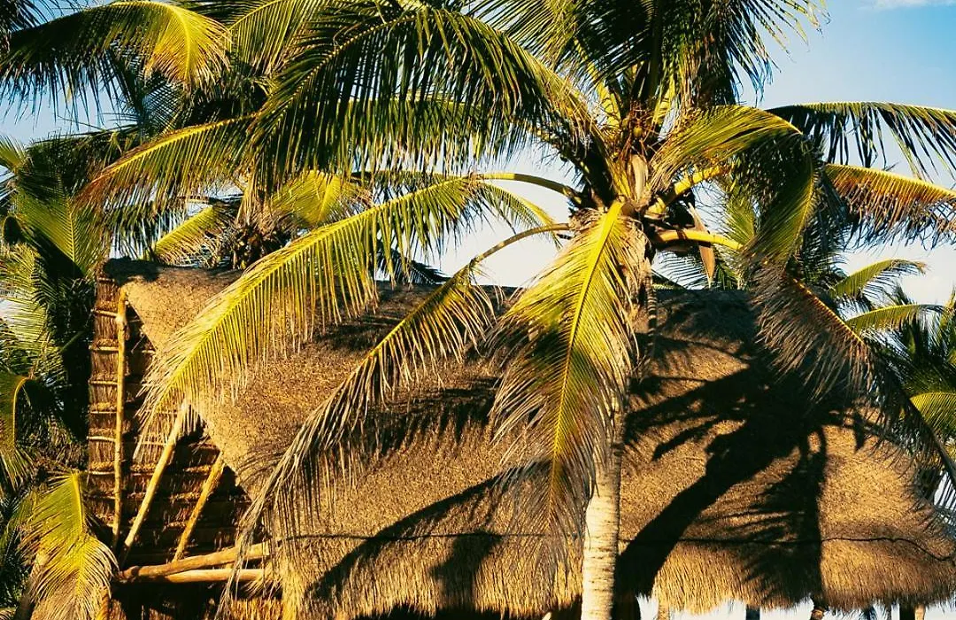 Mia Tulum Resort-1