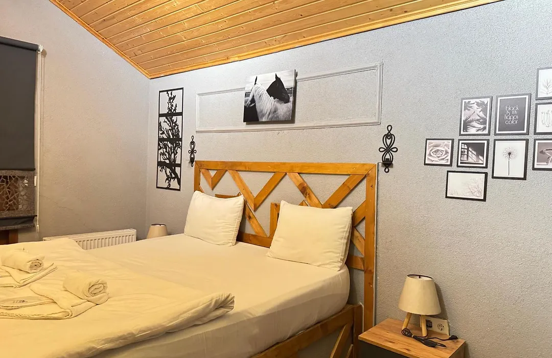 Tas Mahall Luxury Hotel-1
