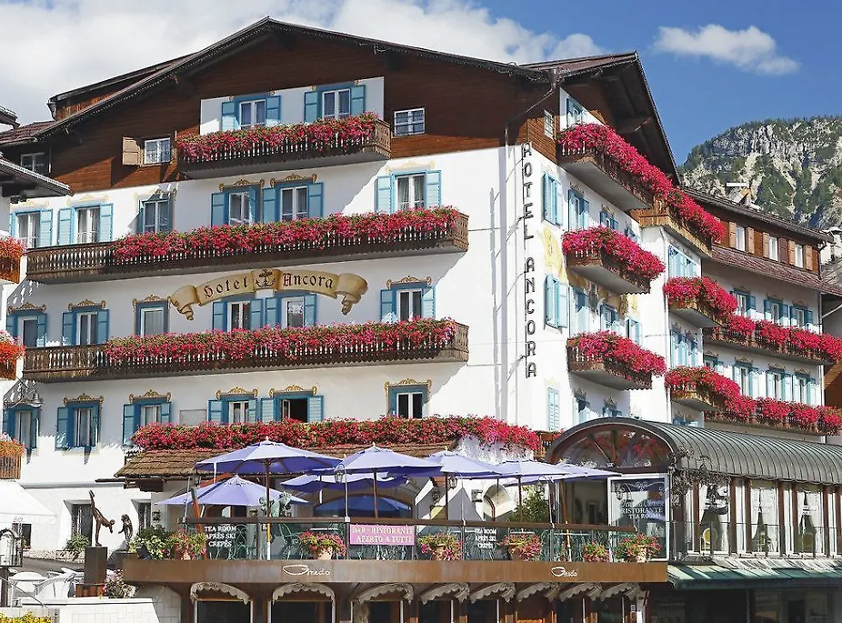 Ancora Cortina-1